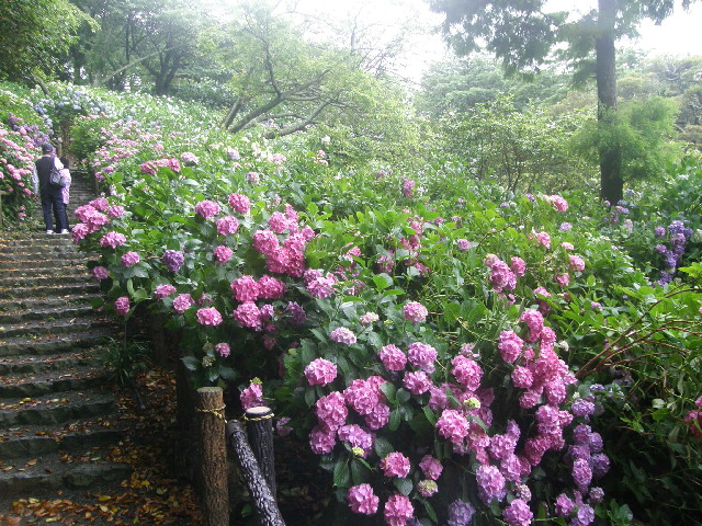 伊東の公園