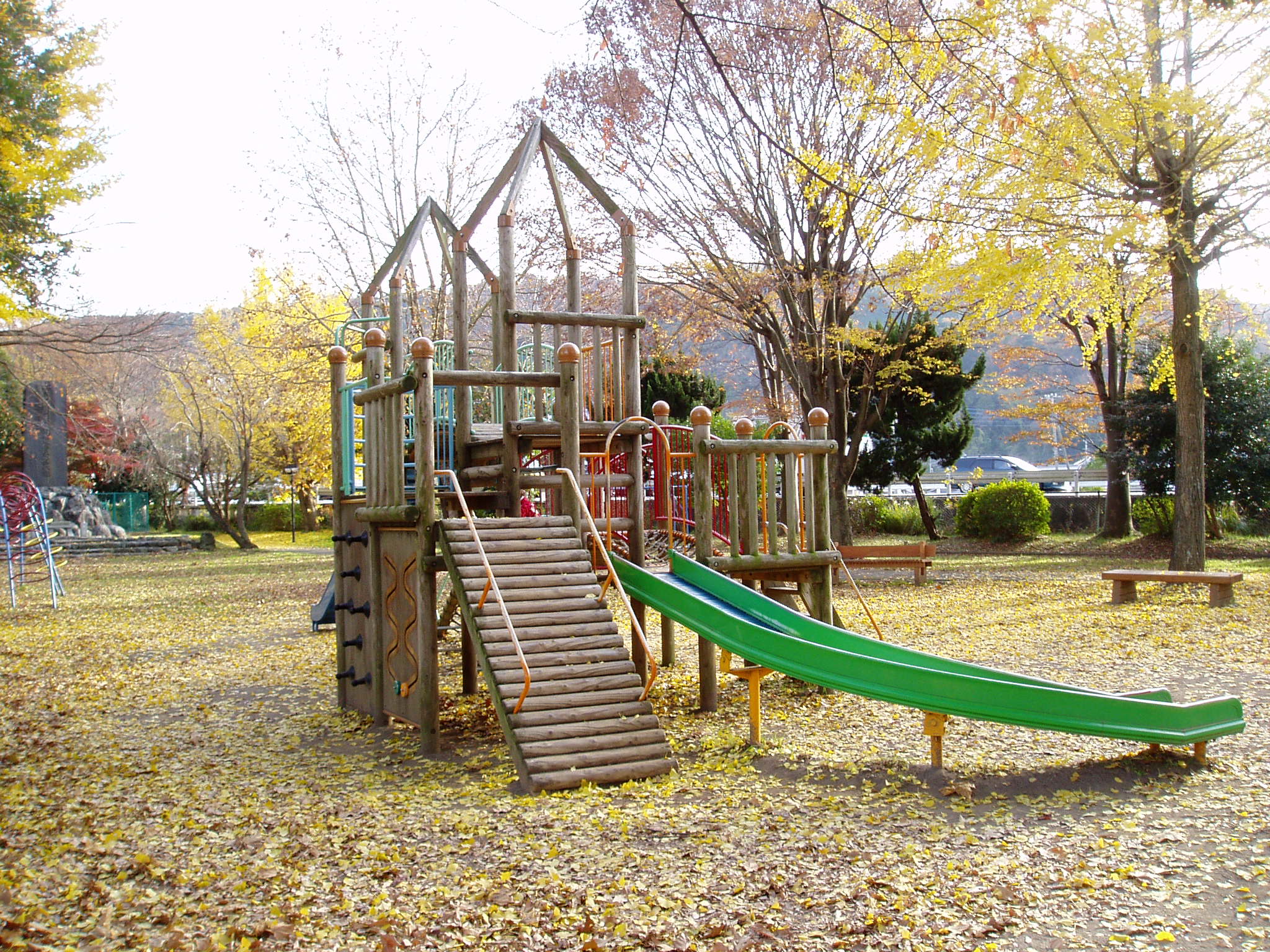 伊豆市狩野川記念公園周辺の紅葉