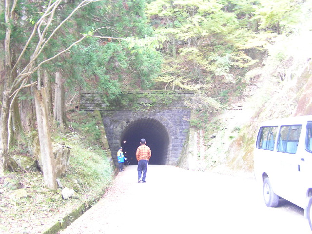 河津の風景