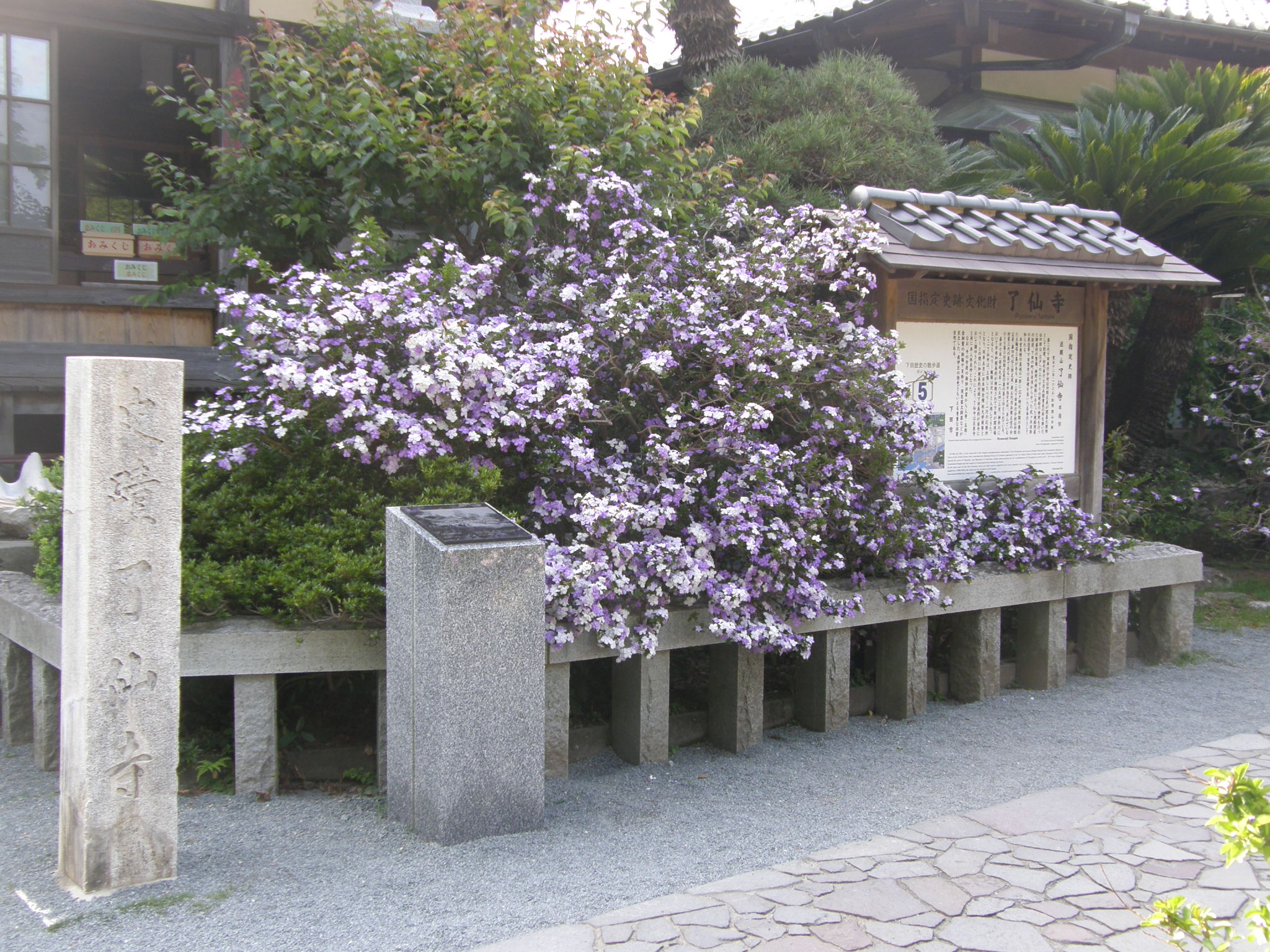了仙寺の案内板と花々