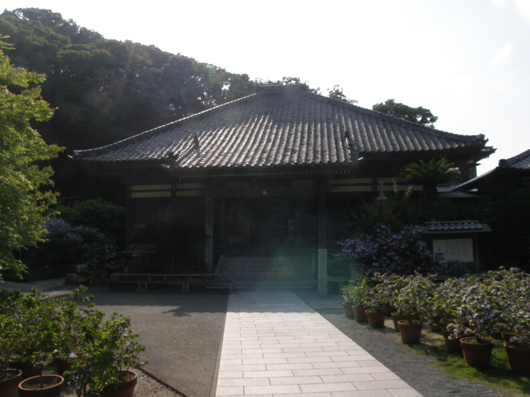 了仙寺本堂の全景